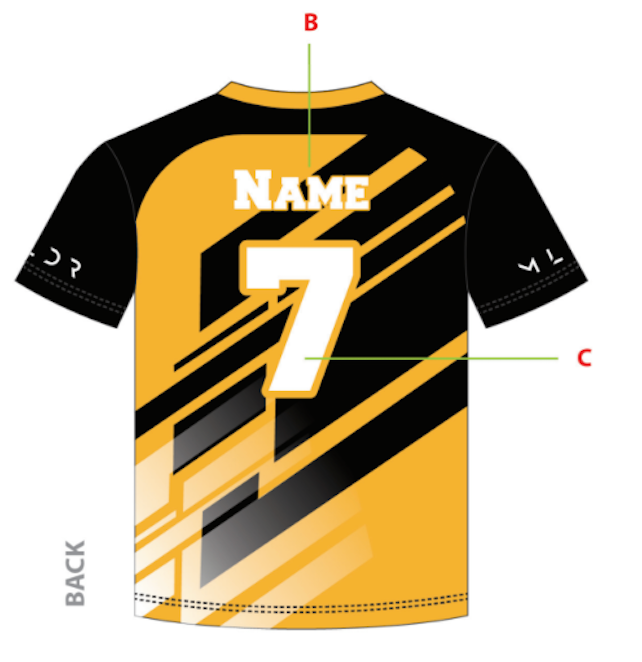 Las Vegas Hornets Jersey