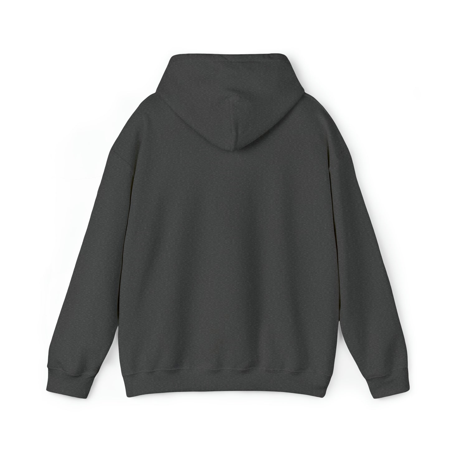 MLDR Team Florida Raptors Unisex Heavy Blend™ Hooded Sweatshirt