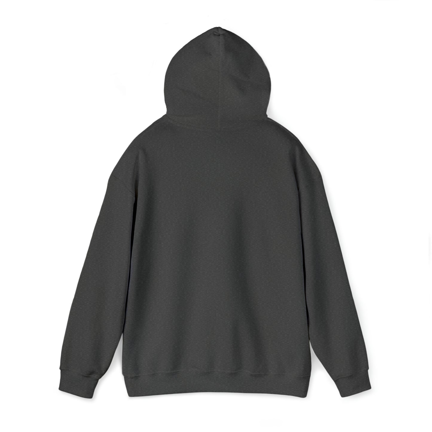 MLDR Team Florida Raptors Unisex Heavy Blend™ Hooded Sweatshirt