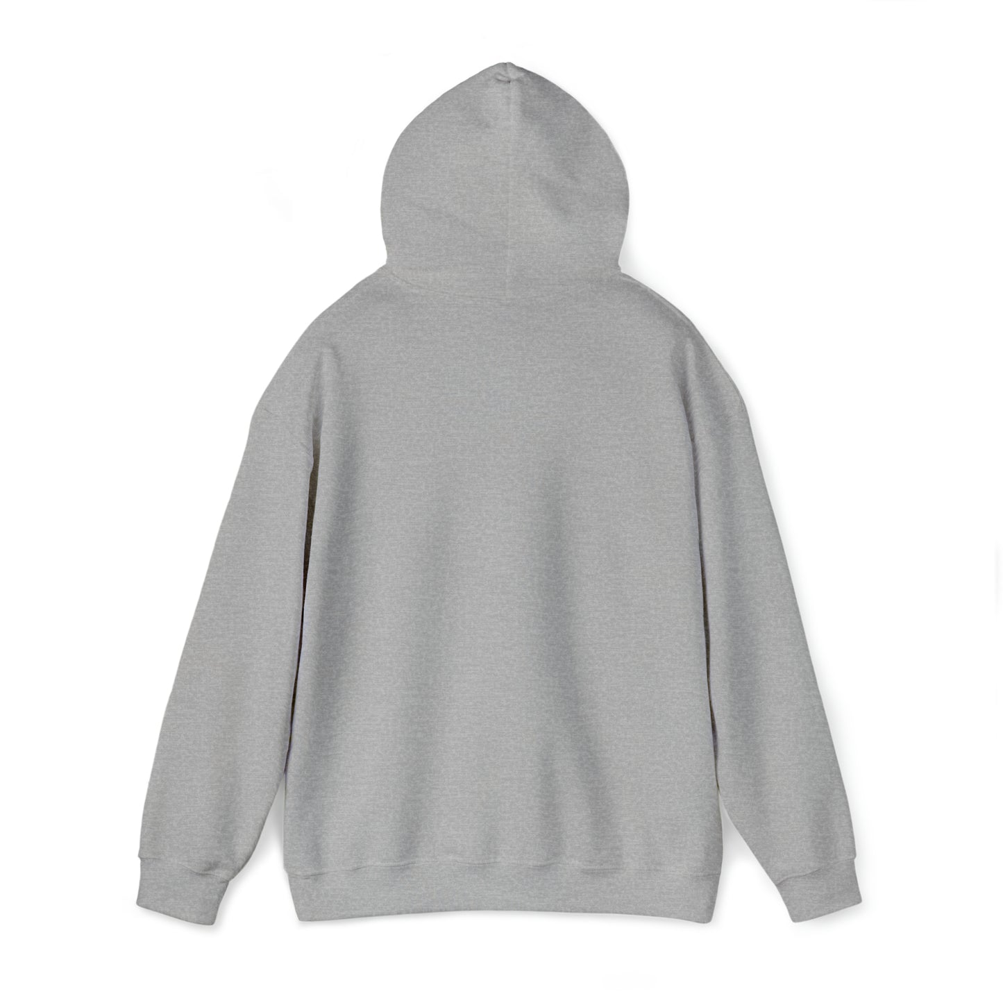 MLDR Team Florida Raptors Unisex Heavy Blend™ Hooded Sweatshirt