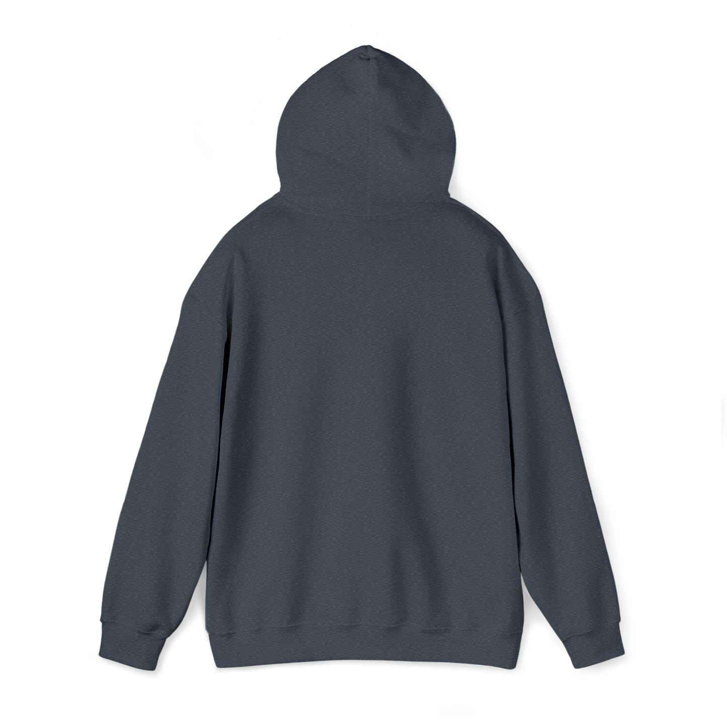 MLDR Team Florida Raptors Unisex Heavy Blend™ Hooded Sweatshirt