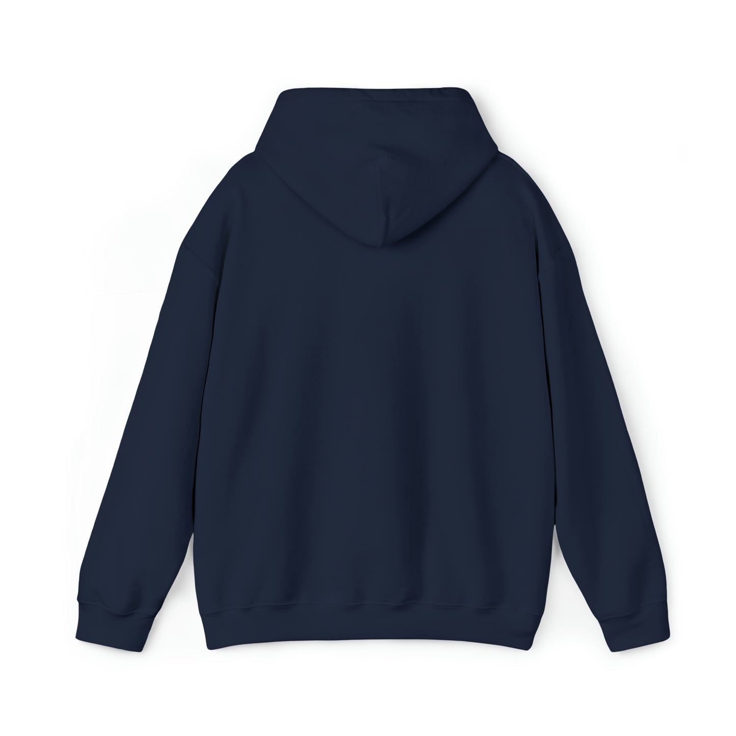 MLDR Team Florida Raptors Unisex Heavy Blend™ Hooded Sweatshirt