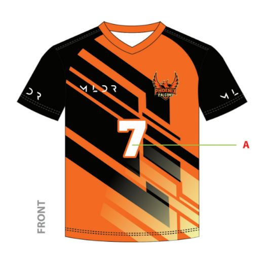 Phoenix Falcons Jersey