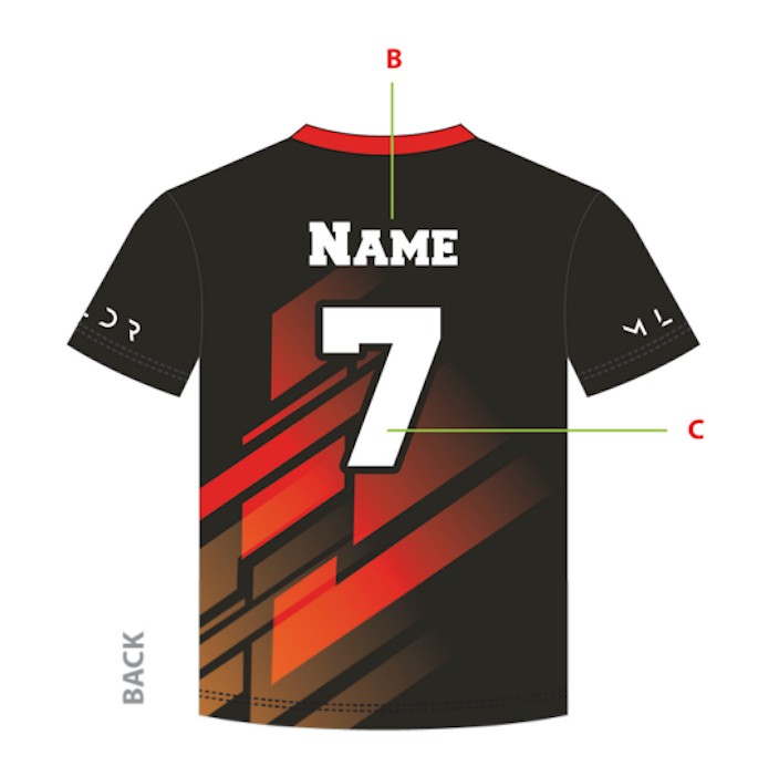 Dallas Ravens Jersey